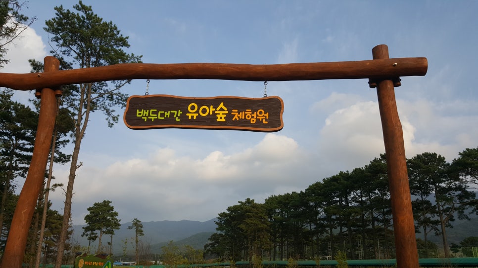 백두대간 유아숲체험원 이미지