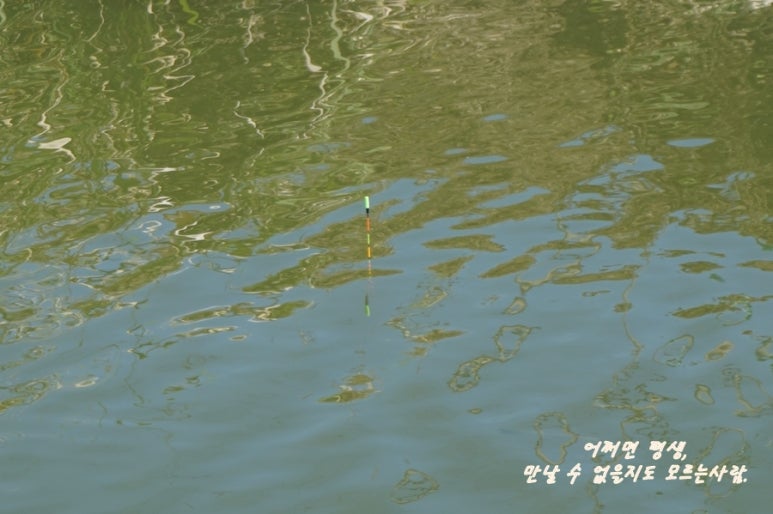삼미낚시 이미지