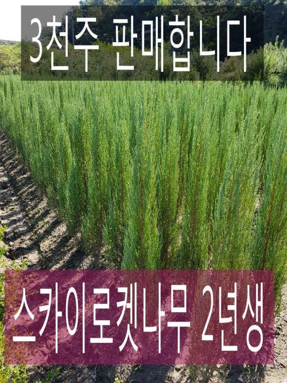 사구실농원 이미지