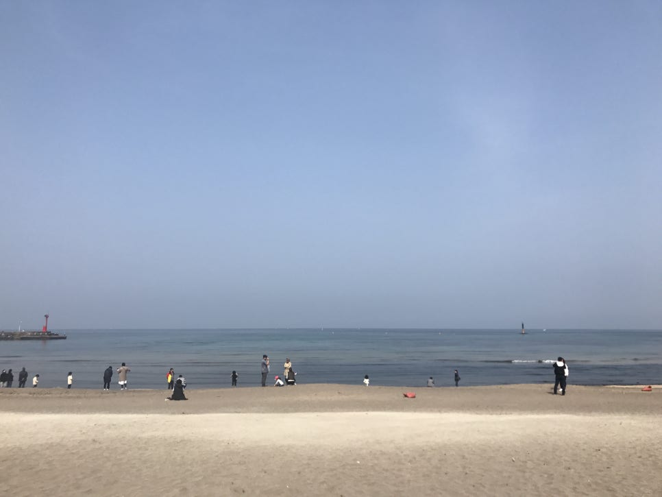 이호흑돼지 이미지
