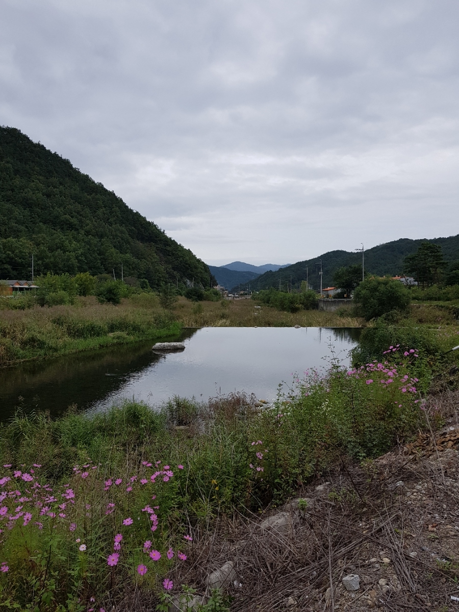 성주자연오토캠핑장 이미지