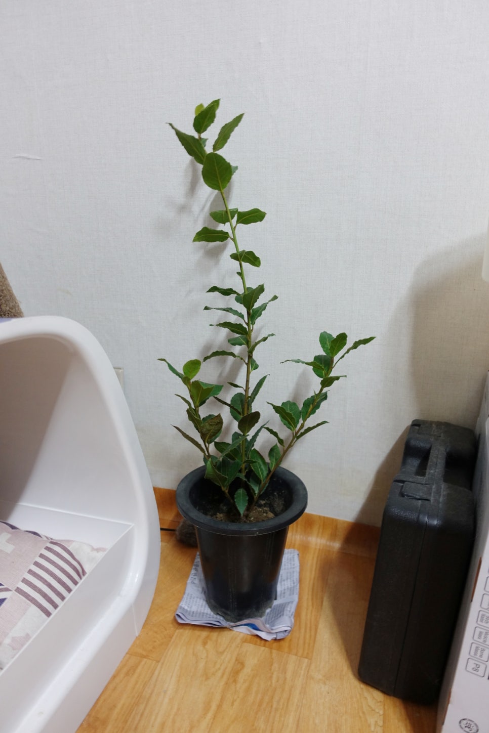 온누리꽃농원 이미지