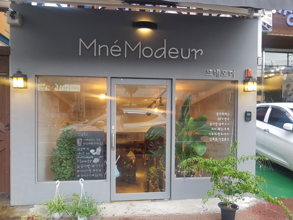 므네모더 이미지