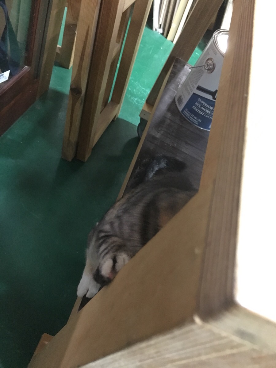 나무와망치인테리어 이미지