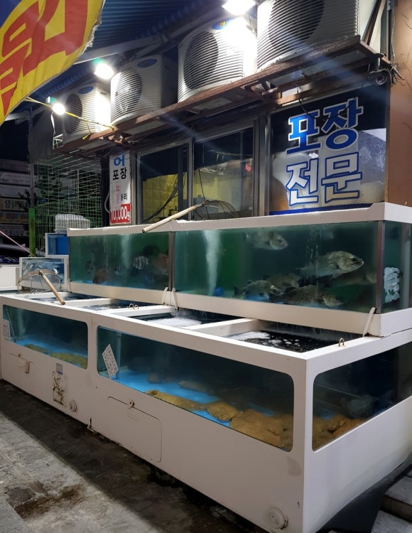청해수산일산 이미지