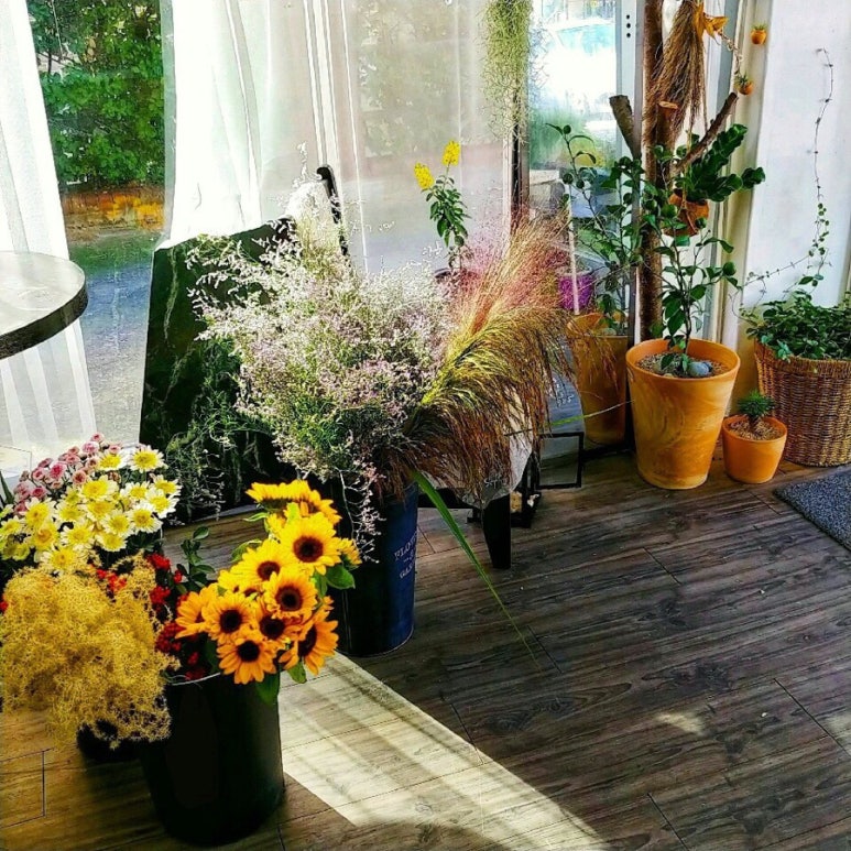 꽃비나리 이미지