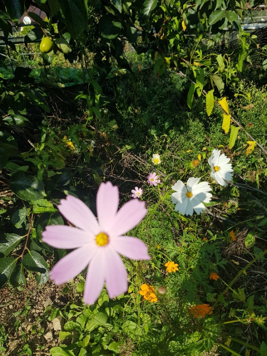 민솔정보 이미지