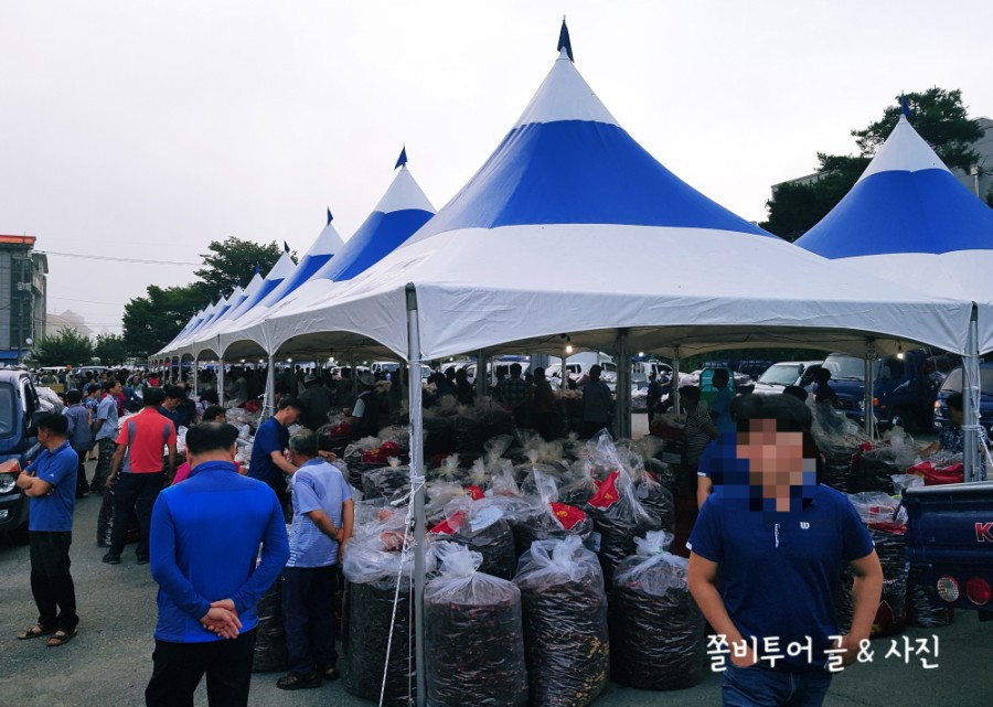 농사지어파는사람들 이미지