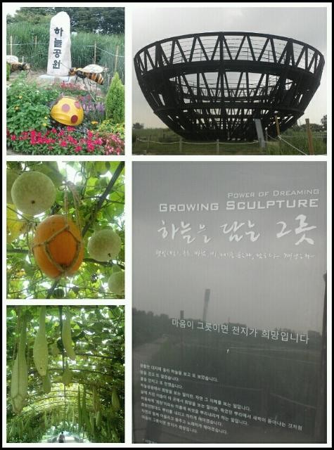 본어게인점핑다이어트 이미지
