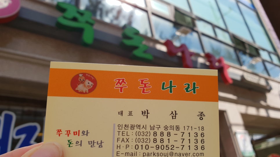 쭈돈나라 이미지