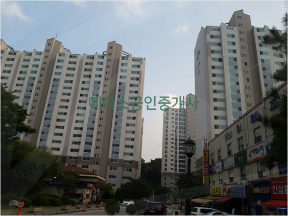 서울로얄치과의원 이미지