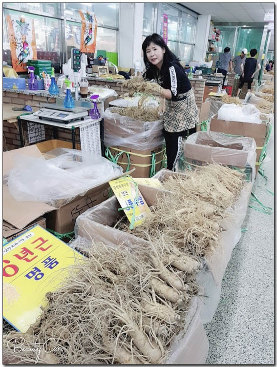 수삼센터7호 이미지