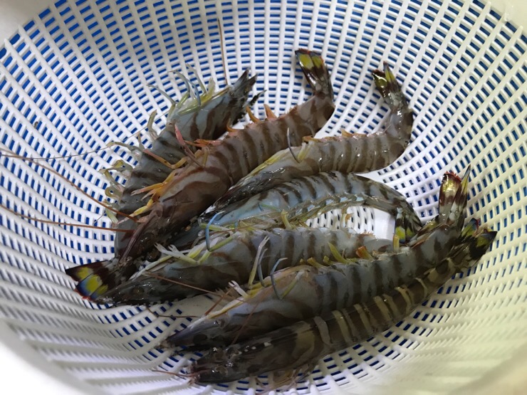 충무회수산 이미지