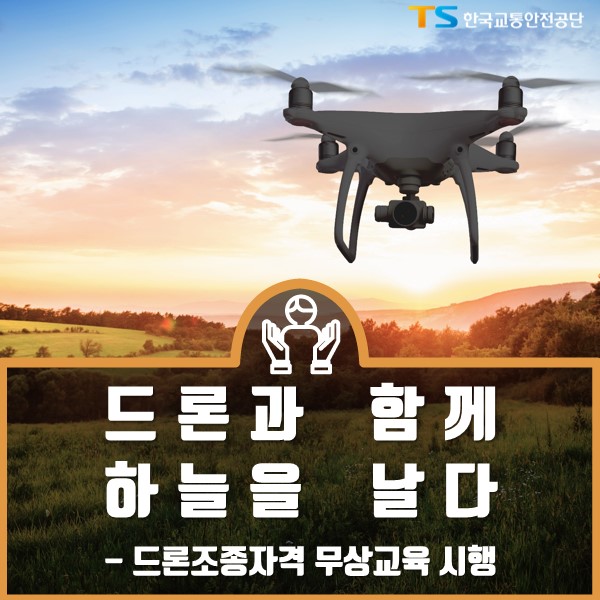 함께 하늘을 날다 이미지