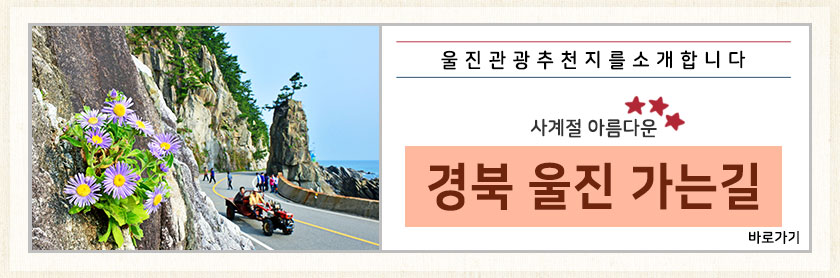 신바람싱싱장터 이미지
