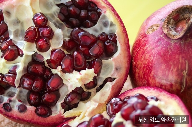 약손한의원 이미지