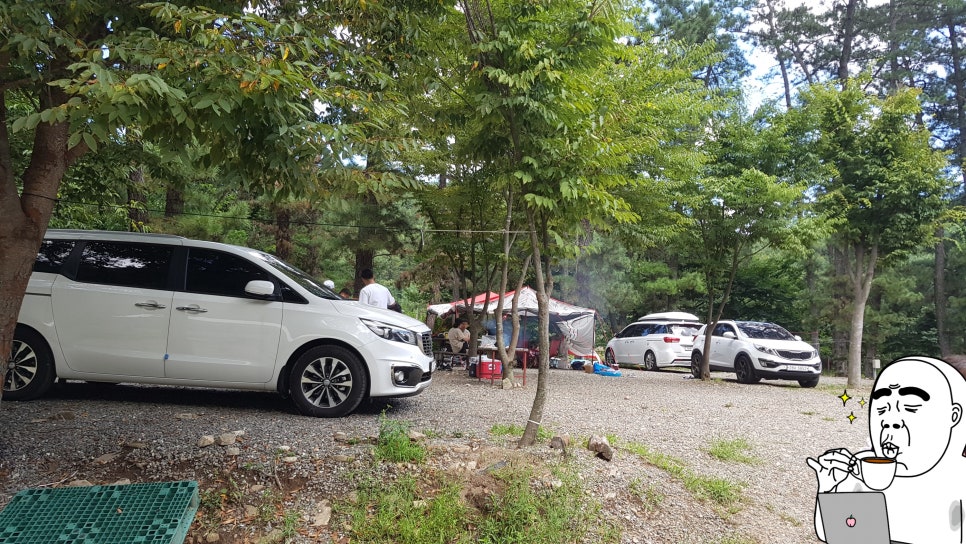 솔밭체육공원 오토캠핑장 이미지