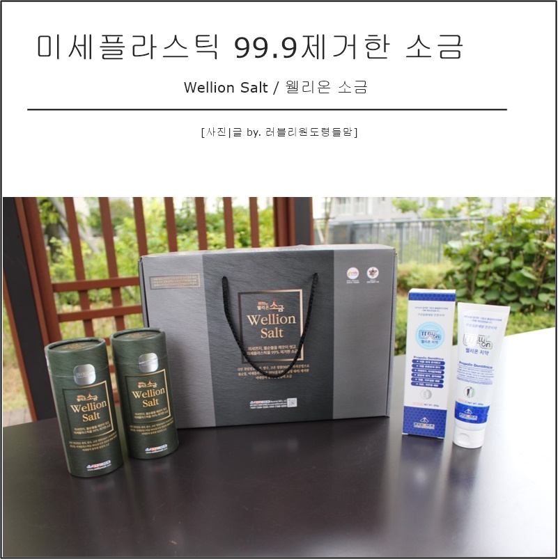웰리온 이미지