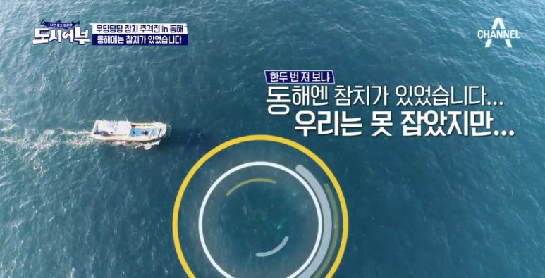 동해참치 이미지