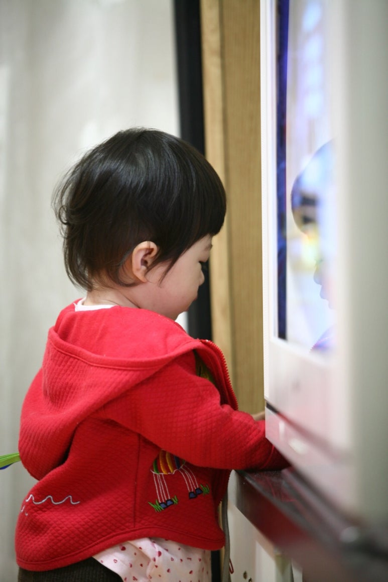 로뎀사무기 이미지