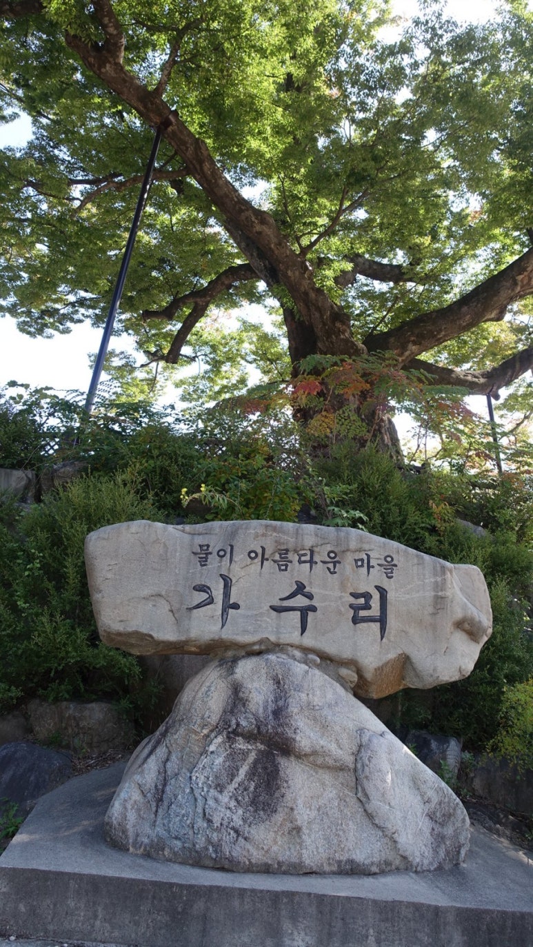 동강바이크 이미지