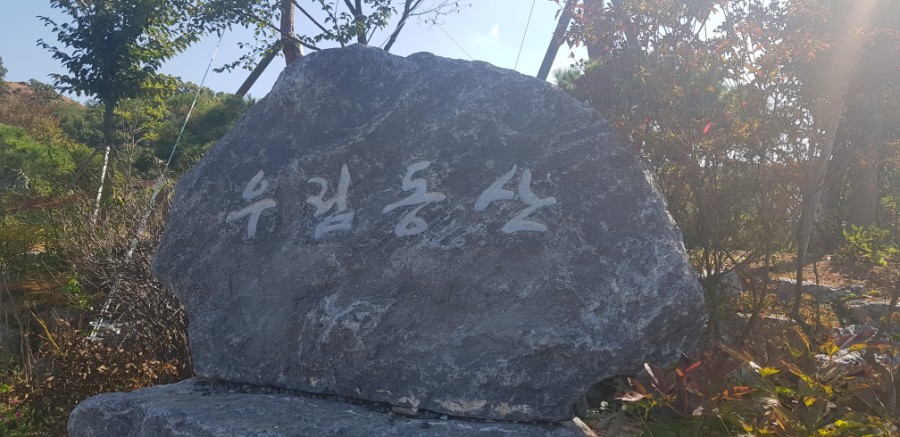 우림유치원 이미지