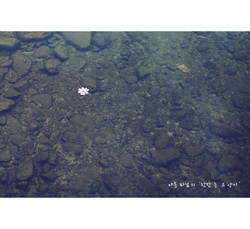 길커피공장 이미지