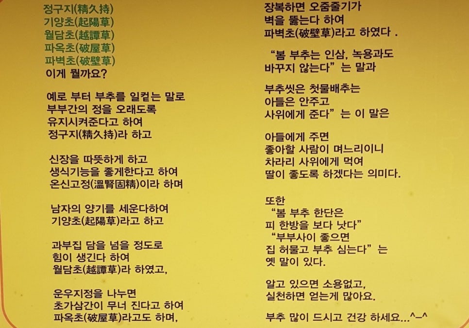 미스터황소곱창 이미지