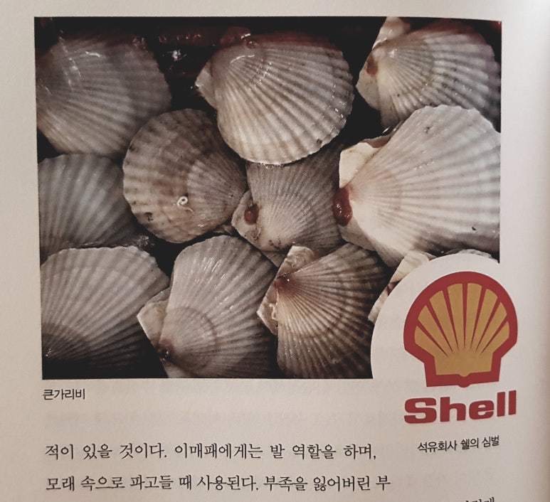 명화석유 이미지