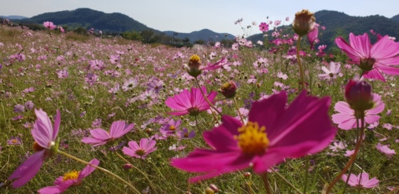 창선기술 이미지