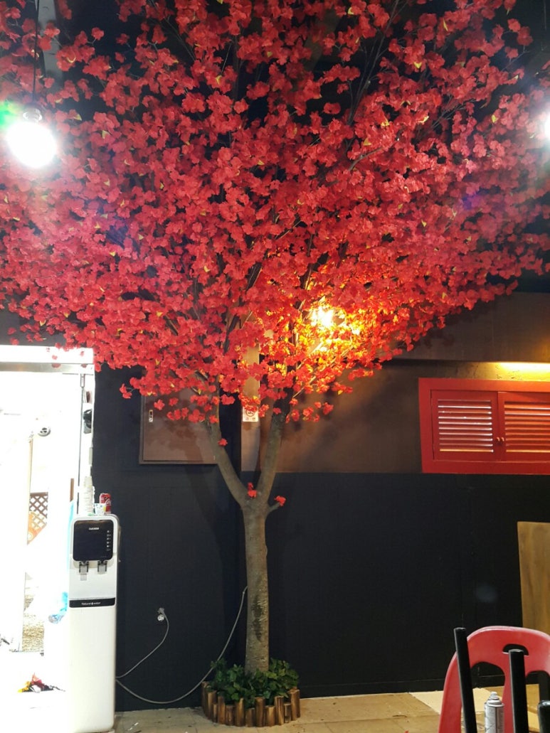 홍매화포차 이미지