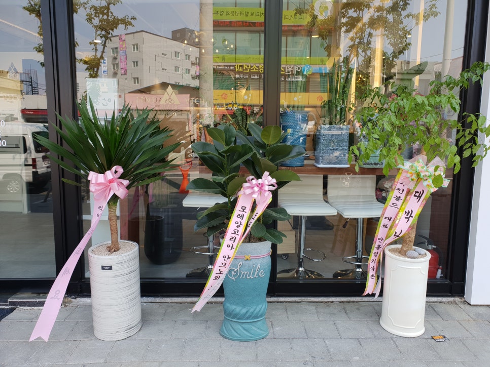 진마트 이미지