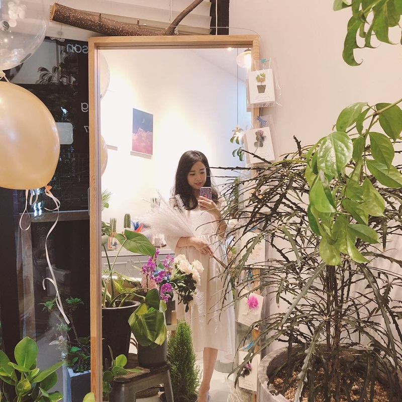세렌디피티플라워 이미지