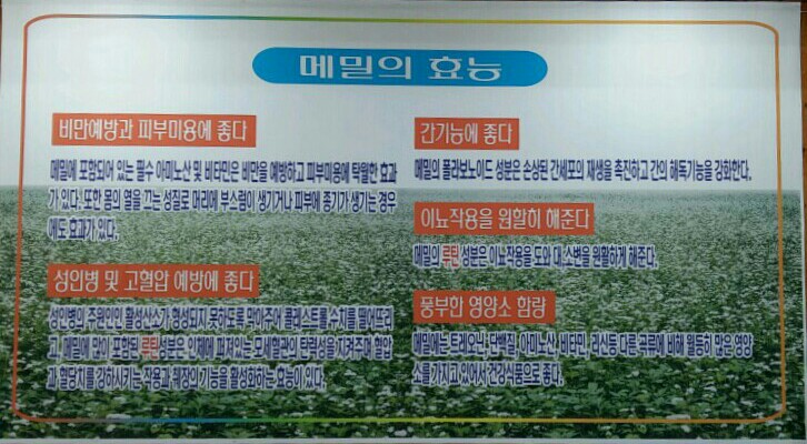 경춘막국수 이미지