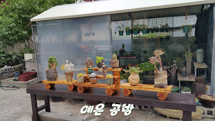 예은공방 이미지