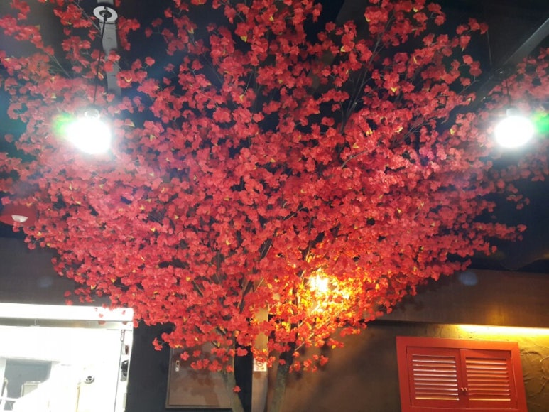 홍매화포차 이미지
