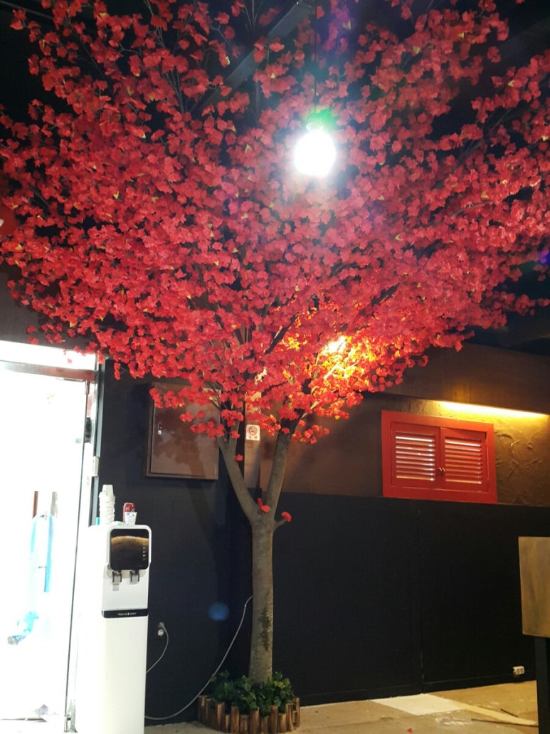 홍매화포차 이미지