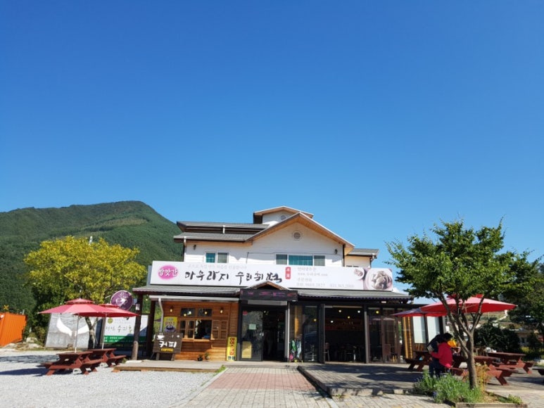 아우라지수리취떡 이미지
