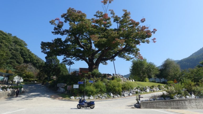 동강바이크 이미지