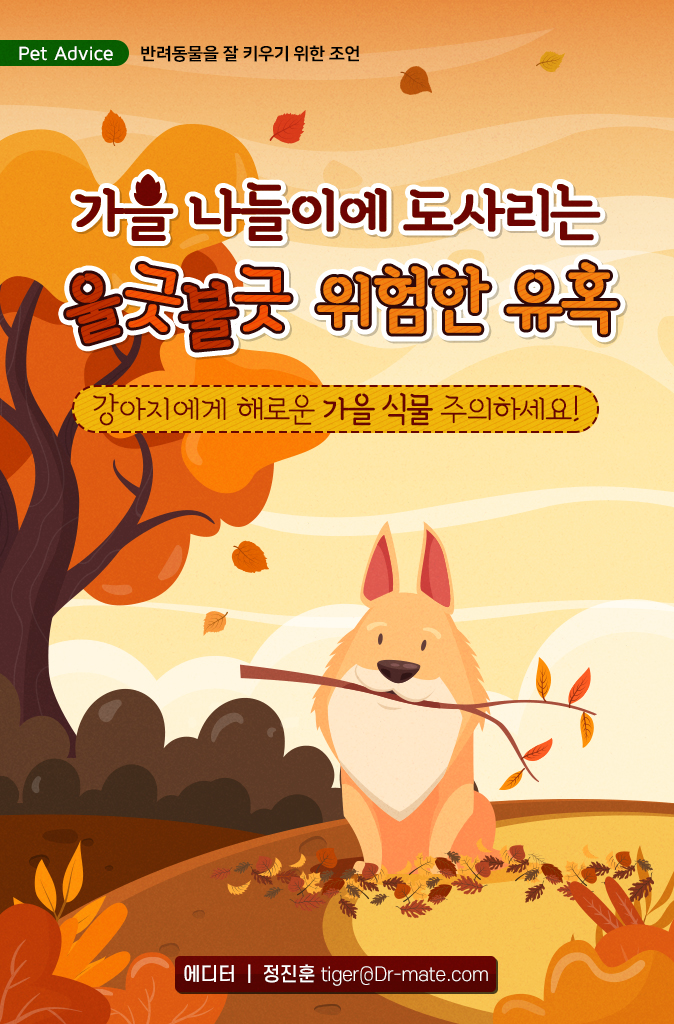 제인병원 이미지
