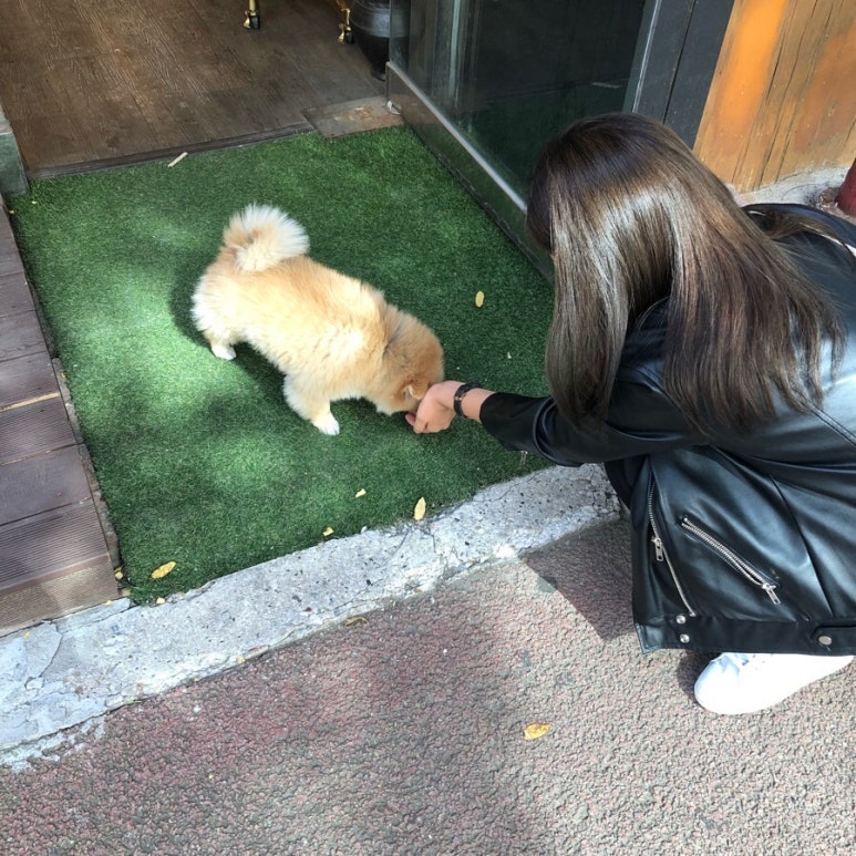 참치명장 이미지