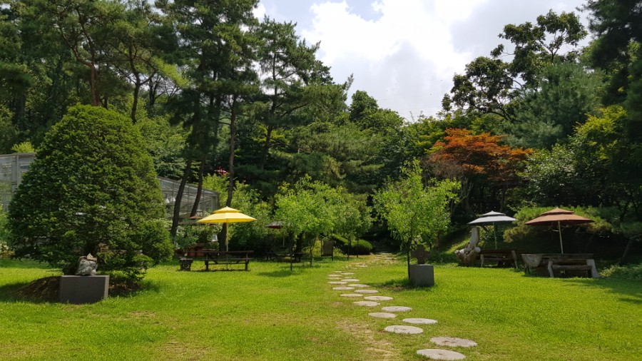 과천소망교회 이미지