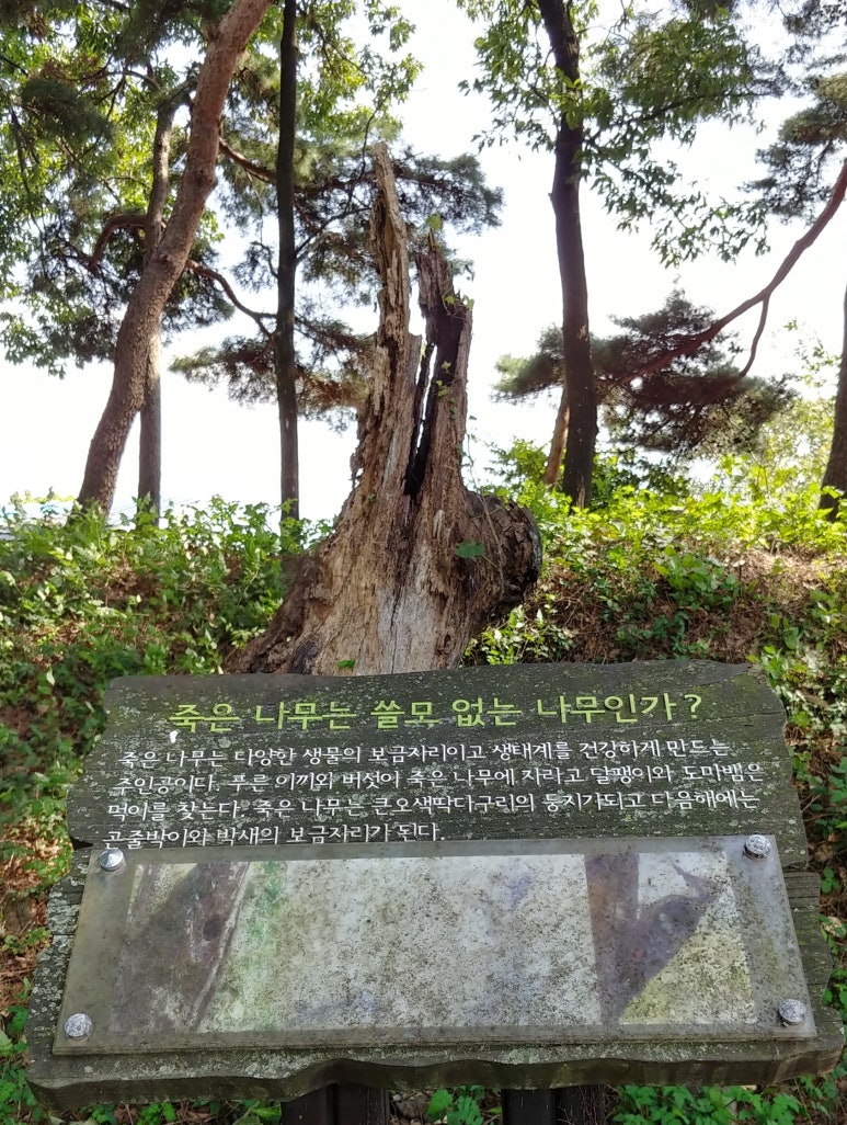 아당골선씨종가 이미지