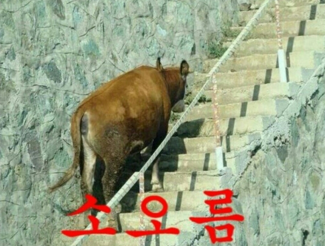 공감 이미지
