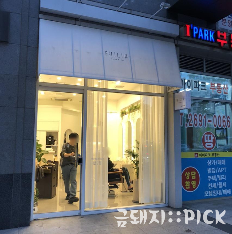 필리아 헤어 이미지