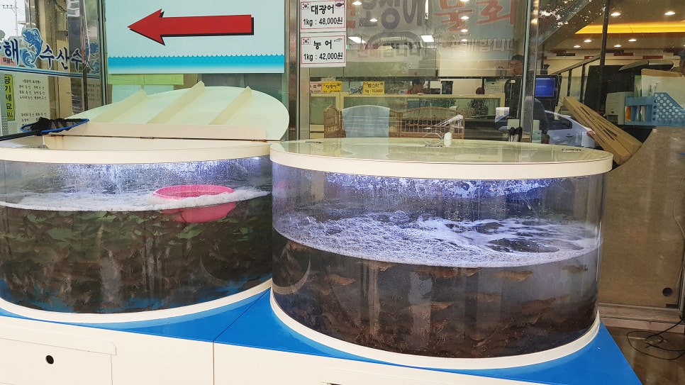 24시팔도맛집 이미지