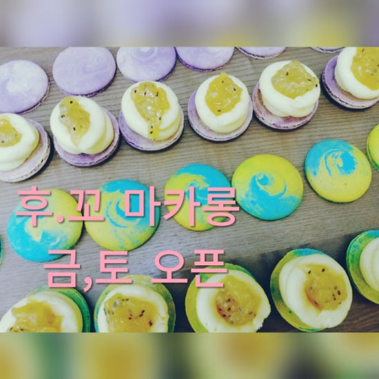 꼬마카롱 이미지
