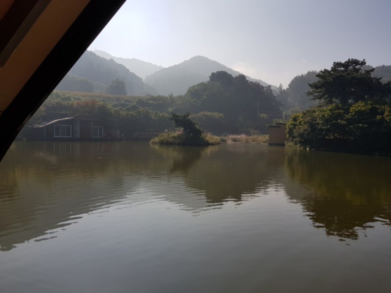 개나리낚시터 이미지