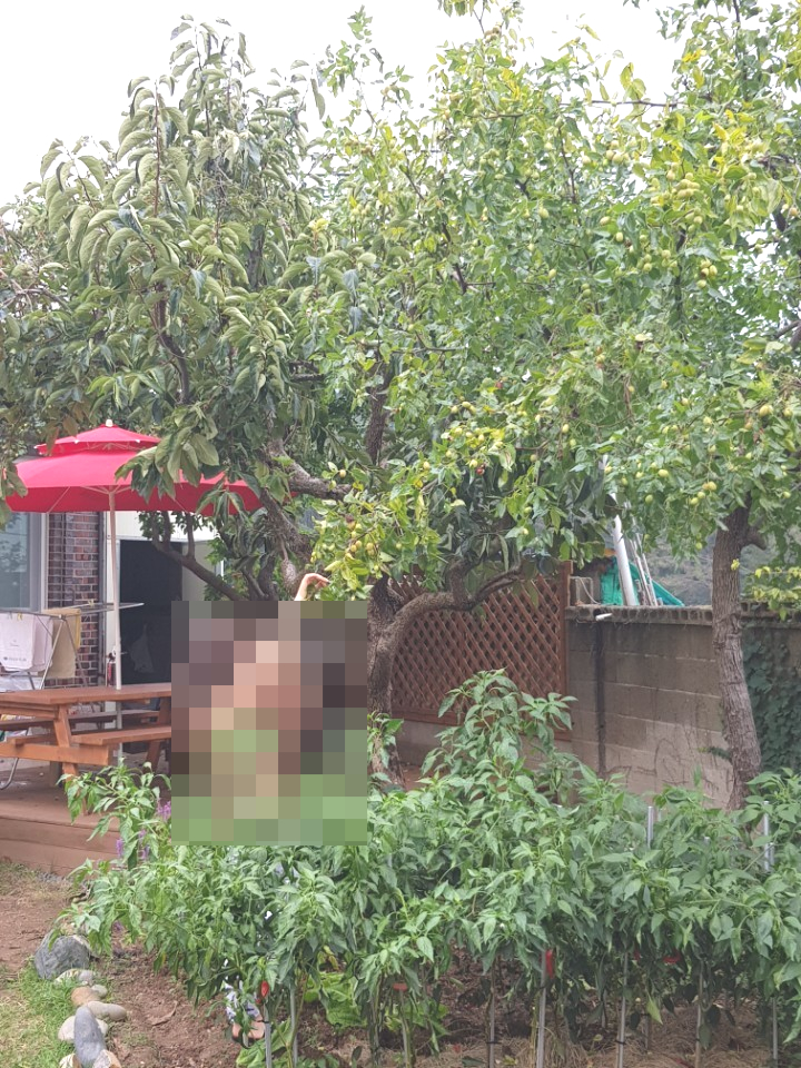 가족민박 이미지