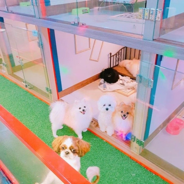 몽이네일 이미지